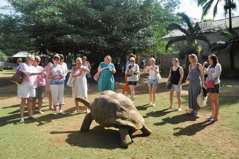 Mauritius Tortoise Sanctuary 