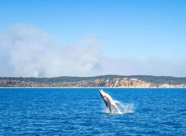 Hervey Bay Australia