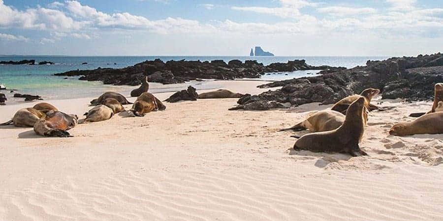 Galapagos-South-America
