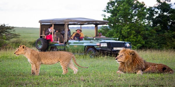 Authentic-safari-camping-in-Amboseli-and-the-Masai-Mara