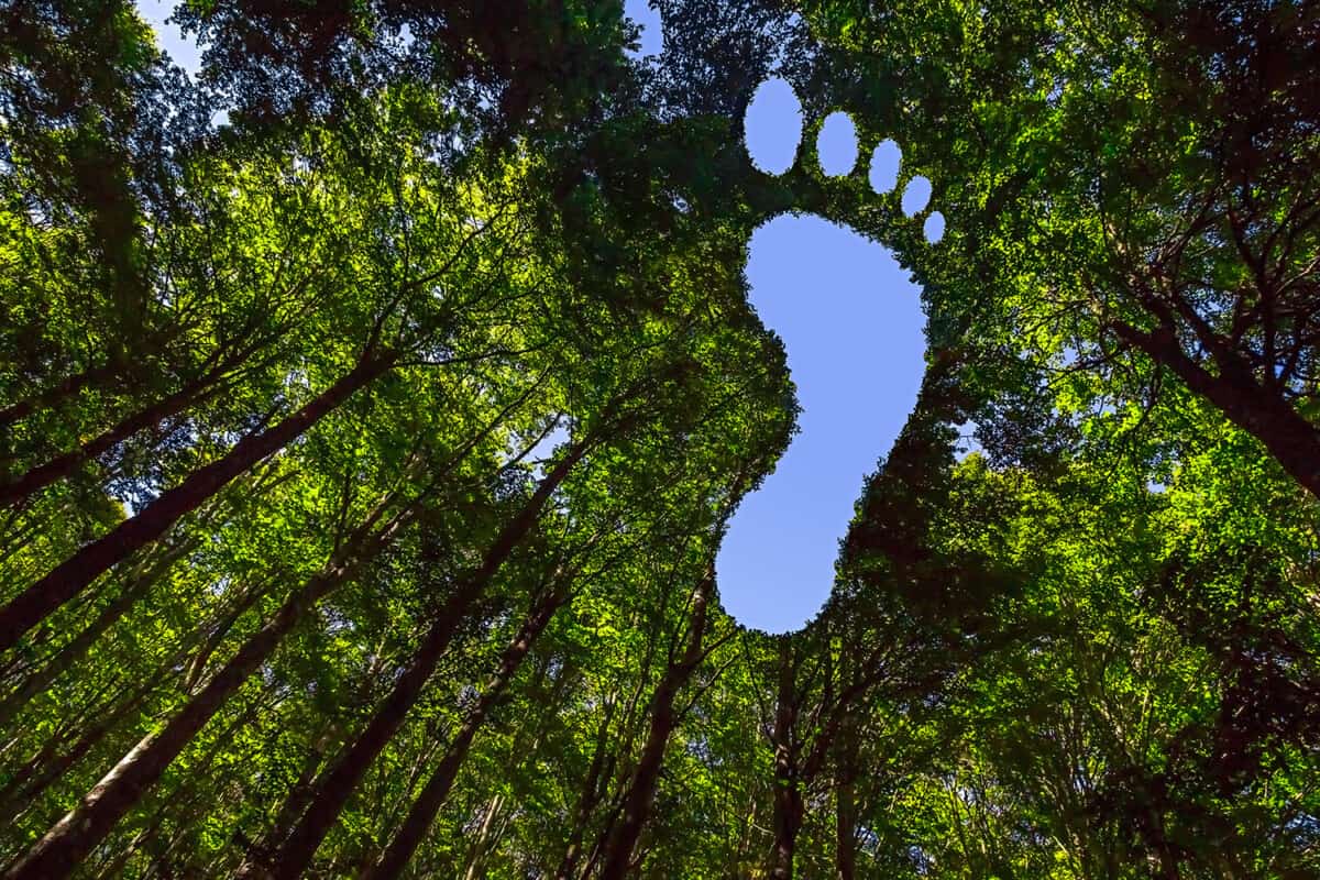 9 Ways To Reduce Your Carbon Footprint When Travelling For Business