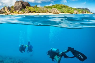 seychelles_diving