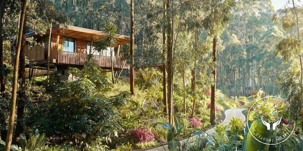 One&Only-Luxury-Resorts-Gorillas-Nest-Rwanda
