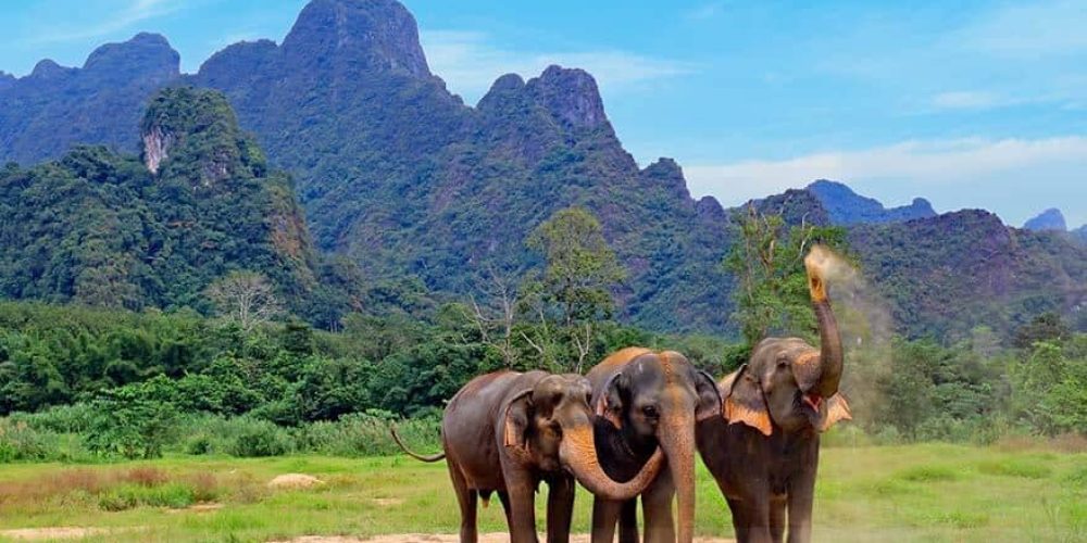 All-you-may-want-to-know-about-visiting-the-Elephant-Hills-resort-in-Khao-Sok-National-Park-in-Thailand