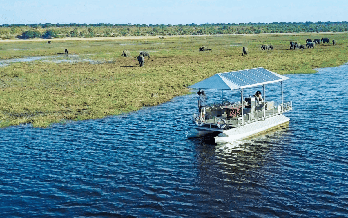 Chobe National Park including River Safari and Game Drives