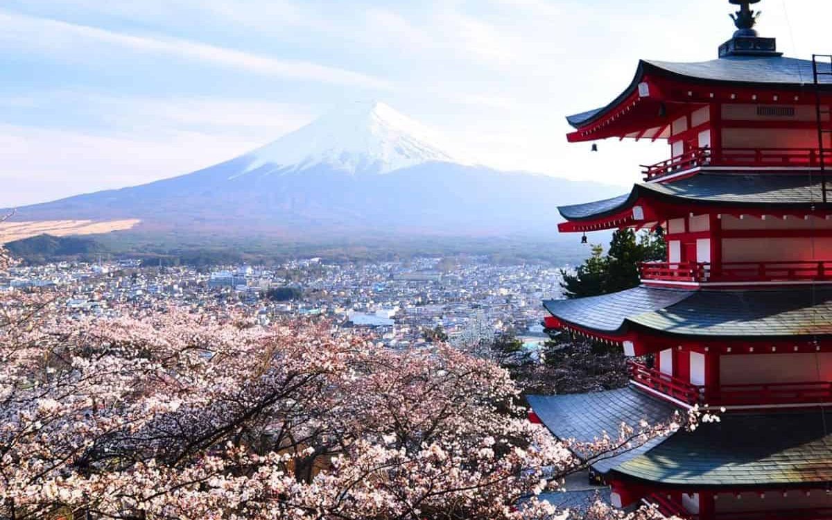 Japan's Cultural Treasures - Cherry Blossom