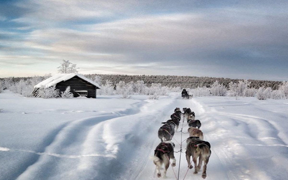 Magical Adventure to Swedish Lapland